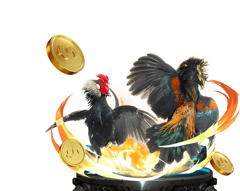 Chương Trình VIP W88